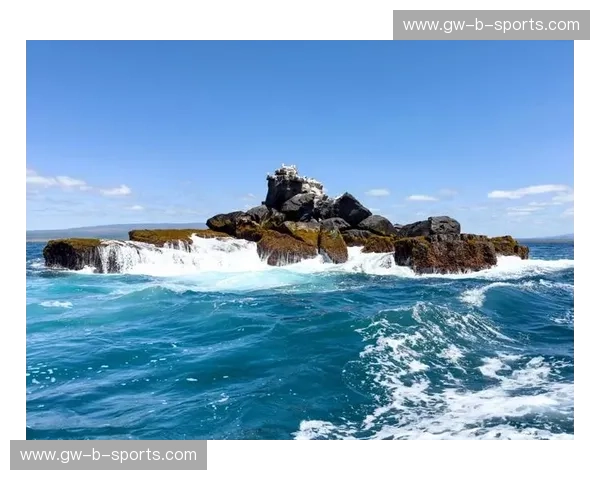 赤道火种碰撞桑巴旋律:厄瓜多尔与巴西的巅峰对决,谁才是南美大陆的真正主宰?
